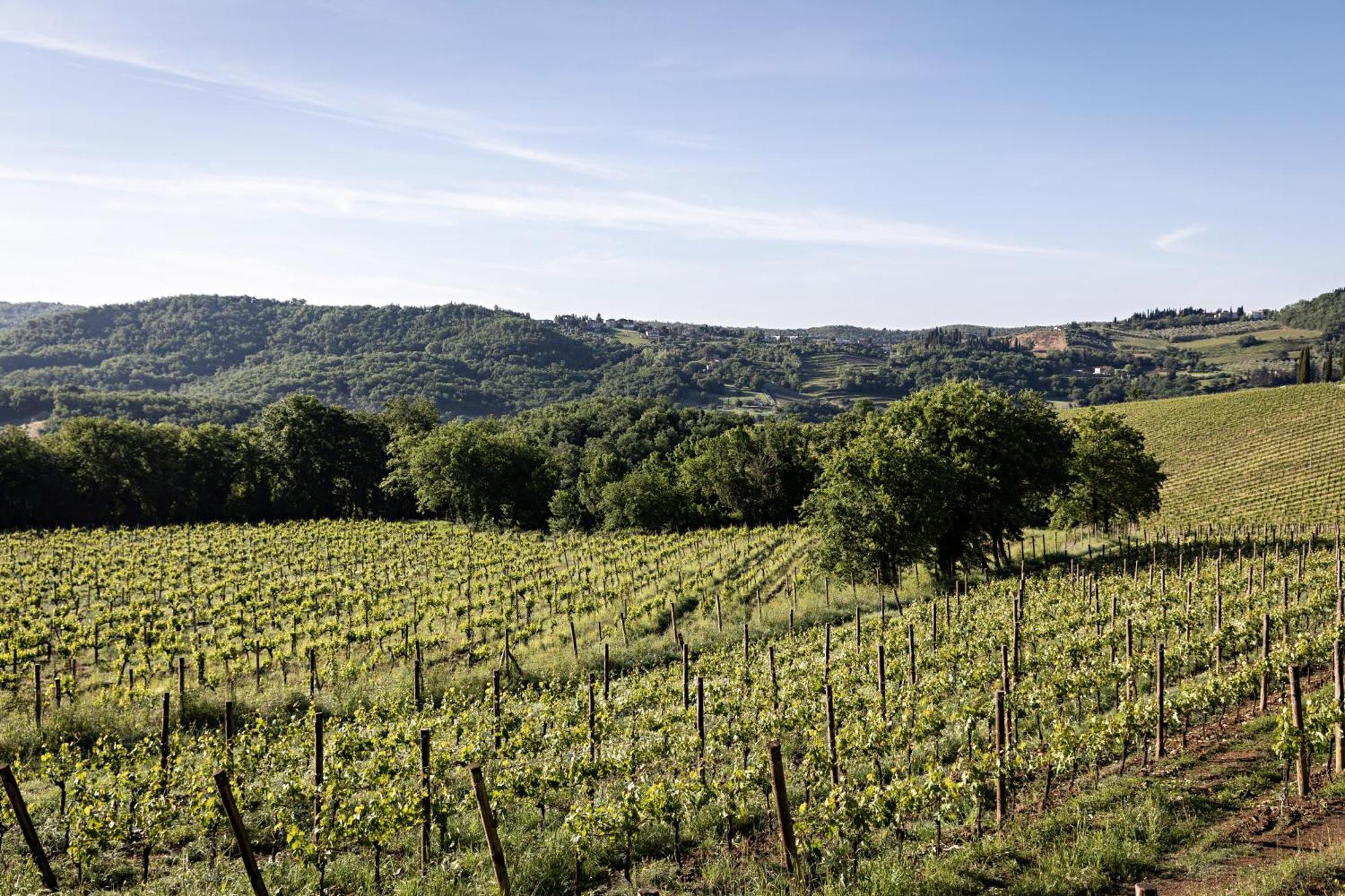 Pieve Aldina Relais & Chateaux Radda in Chianti Exterior foto